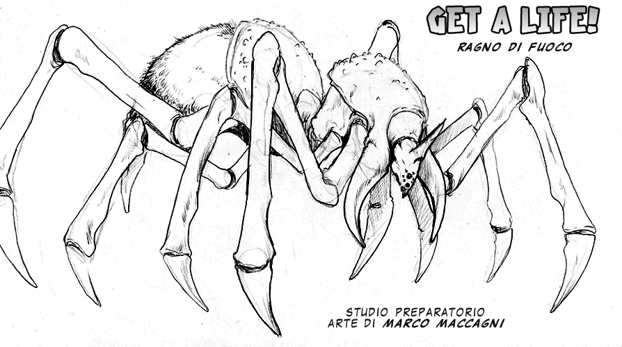 Studi preparatori - ragno di fuoco