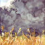 Coming Storm