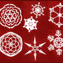 Snowflakes