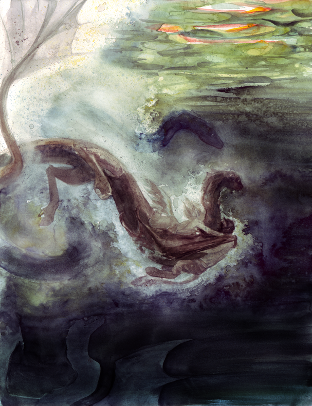 Dive by melukilan
