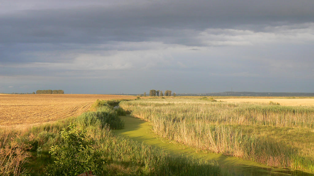 Green Road