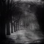 The Path Less Travelled by intao