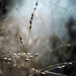 With The Blue Wind by intao