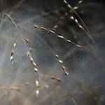 With The Blue Wind II by intao