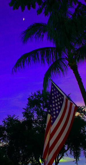 American Twilight