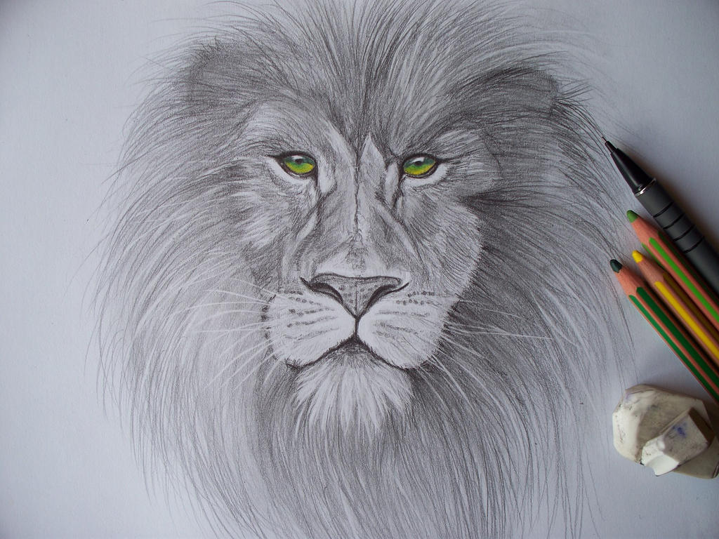 Green-eyed lion