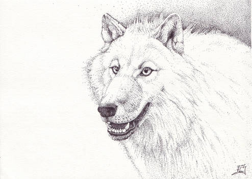 White Wolf