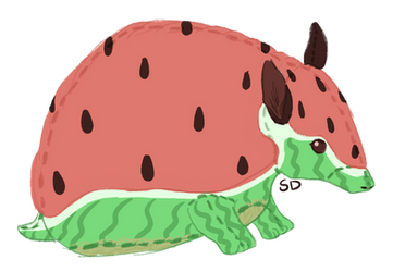 Watermelon armadillo