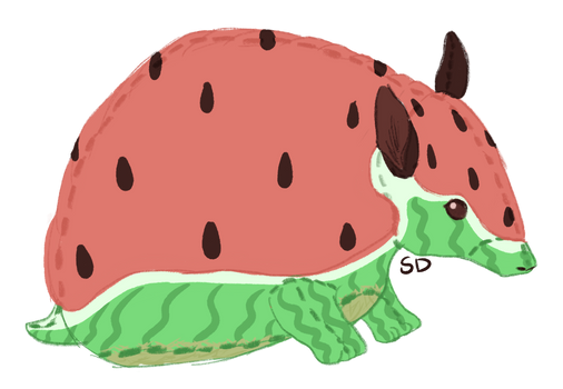 Watermelon armadillo