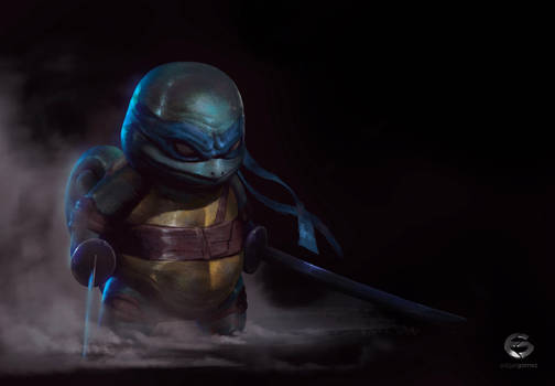 Squirtle Ninja / Leonardo