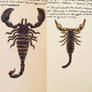 Brontoscorpio and Palaeophonus