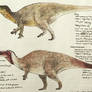 Jehol Hadrosauroids