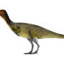 Chilesaurus