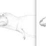 Carcharodontosaurus Conservative vs Speculative