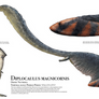 Diplocaulus