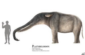 Platybelodon