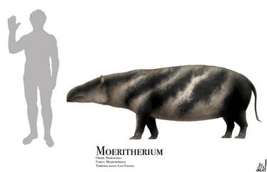 Moeritherium