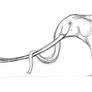 Zygolophodon Sketch