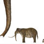 Palaeoloxodon namadicus preview