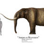 American Mastodon