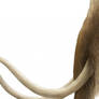 Woolly Mammoth Detail