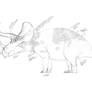 Triceratops Refined Sketch