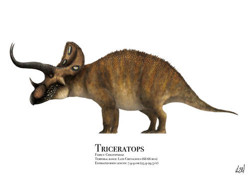 Triceratops