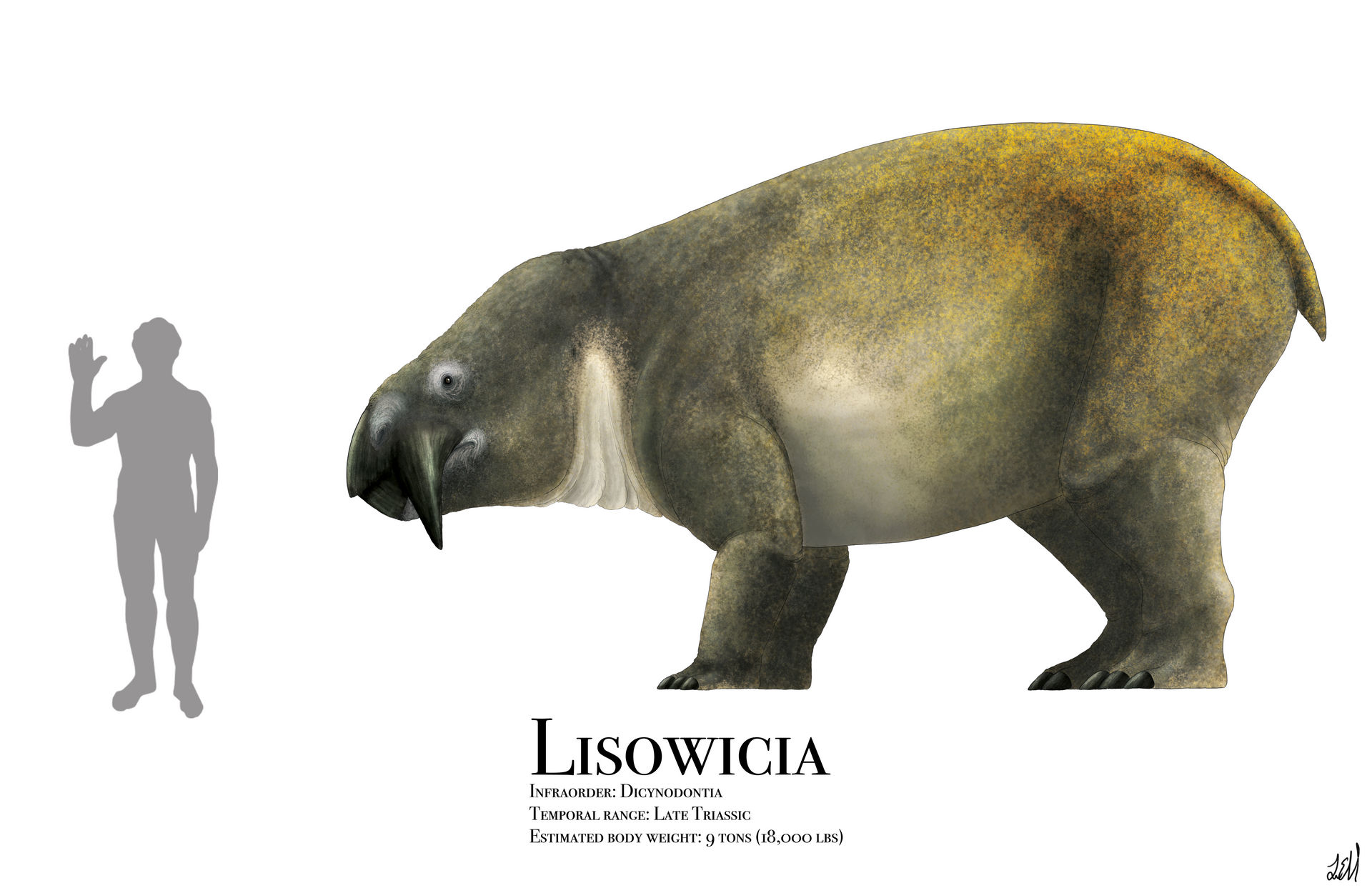 Lisowicia by PrehistoryByLiam on DeviantArt