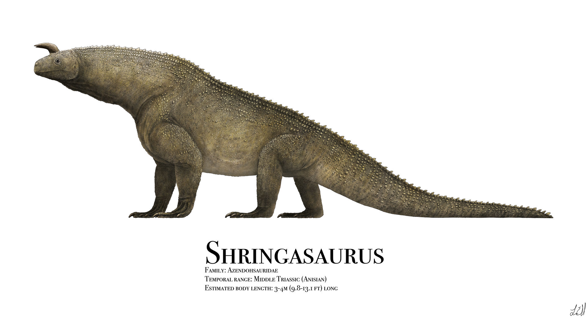 Shringasaurus by PrehistoryByLiam