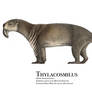 Thylacosmilus