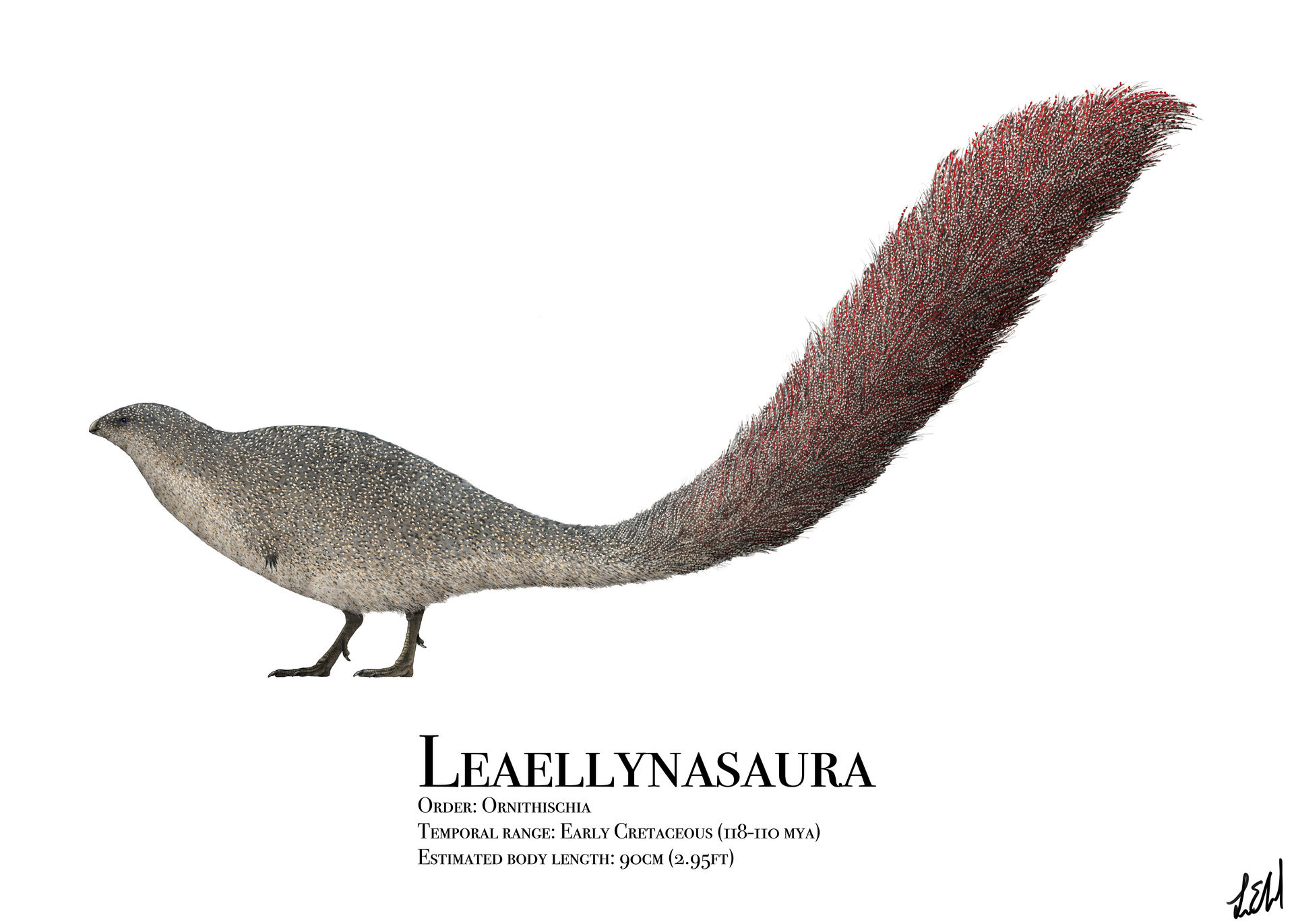 leaellynasaura_by_prehistorybyliam_dd3m7ow-fullview.jpg