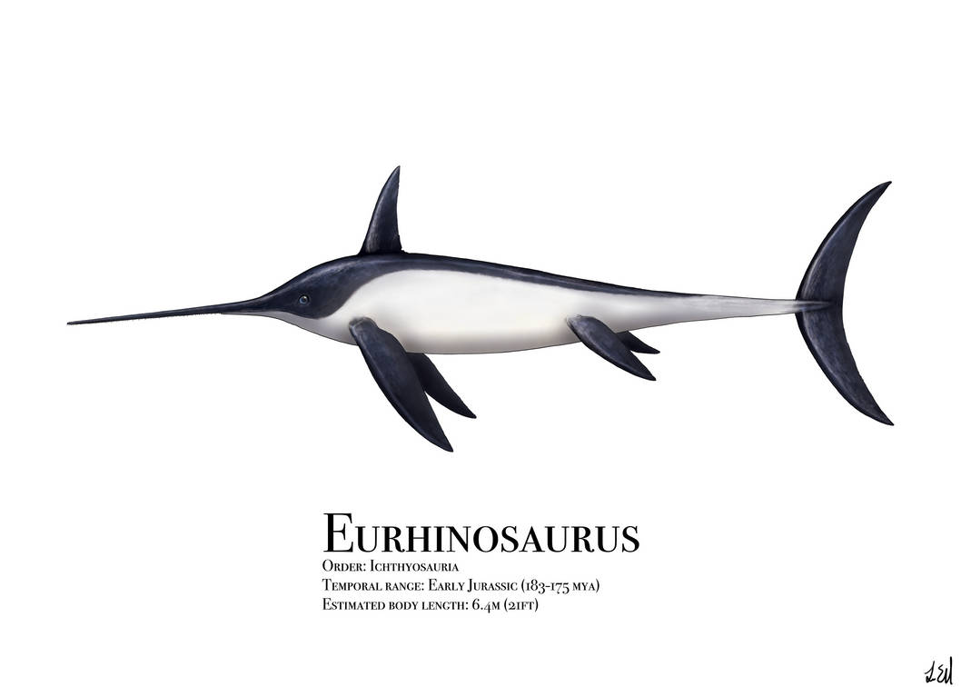 Eurhinosaurus By PrehistoryByLiam On DeviantArt eurhinosaurus-by-prehistorybyliam-on-deviantart