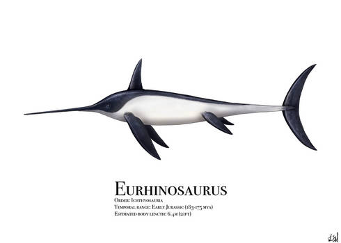 Eurhinosaurus