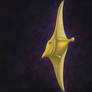 Gebrayelichthys