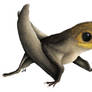 Anurognathus ammoni