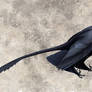 Microraptor
