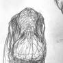 Mamenchisaurus head on portrait rough sketch