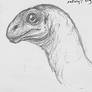 Mamenchisaurid baby pencil study