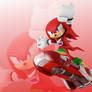 Knuckles Wallpaper #2 (From Sonic Free Riders)