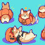 pumpkin Welsh Corgi