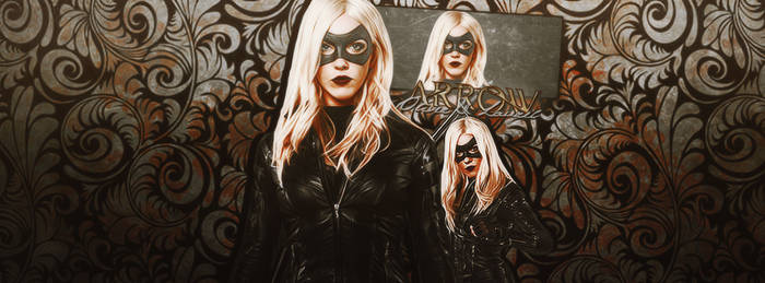 Arrow - Black Canary