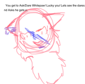 Ask/dare Whitepaw!(Lazy doodle drawing :P)