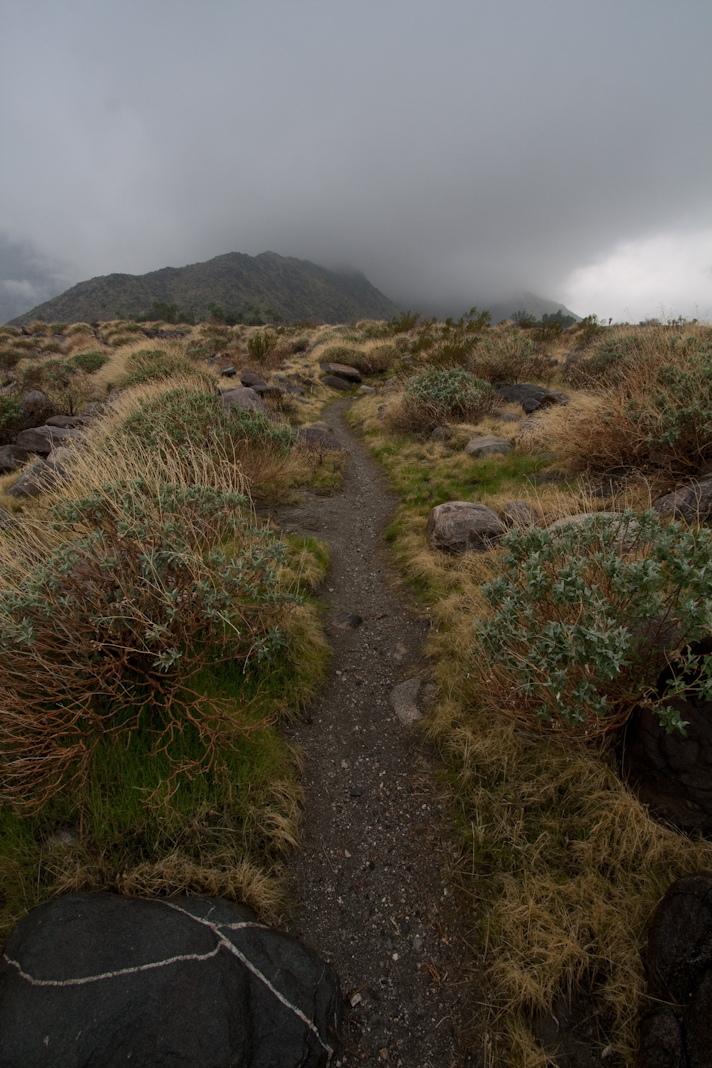 Storm Trail