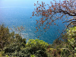 On the route of Cinque Terre