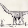 Futalognkosaurus dukei