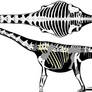 Old ver Malawisaurus skeletal