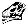 Tapuiasaurus skull