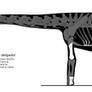 Andesaurus skeletal