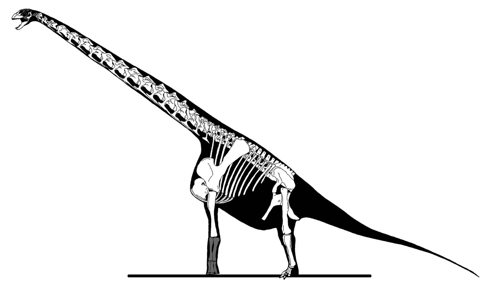 Freaky Euhelopus by palaeozoologist