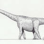 Malawisaurus life drawing